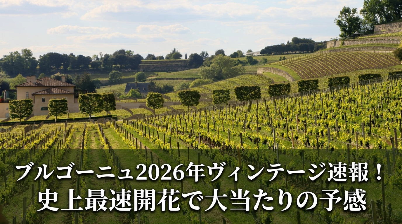 ブルゴーニュ2026年ヴィンテージ速報！史上最速開花で大当たりの予感