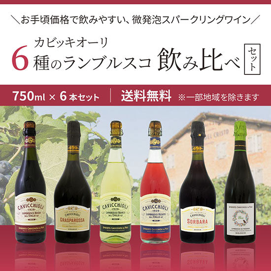 Kacicchioli 6 kinds of Lambrusco drinking comparison 750ml x 6 bottles set Free shipping