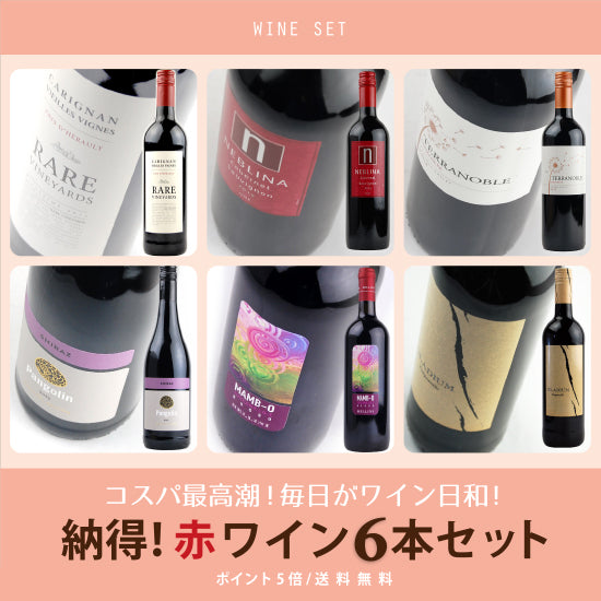 ワインネーション “世界まる呑み” 納得! 赤ワインワイン6本セット 送料無料/