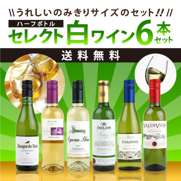 セレクト ハーフボトルワインセット 白ワイン 6本セット 375ml×6本 《送料無料》