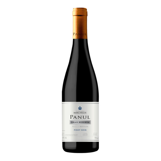 ビニェードス エラスリス オバリェ パヌール ピノ ノワール グラン レセルバ [2022] 750ml 赤ワイン