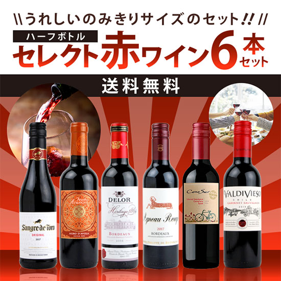 セレクト ハーフボトルワインセット 赤ワイン 6本セット 375ml×6本 送料無料