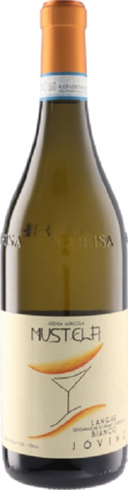 アジィエンダ アグリコーラ ムステラ ランゲ ビアンコ ジョヴィネ [2022] 750ml 白