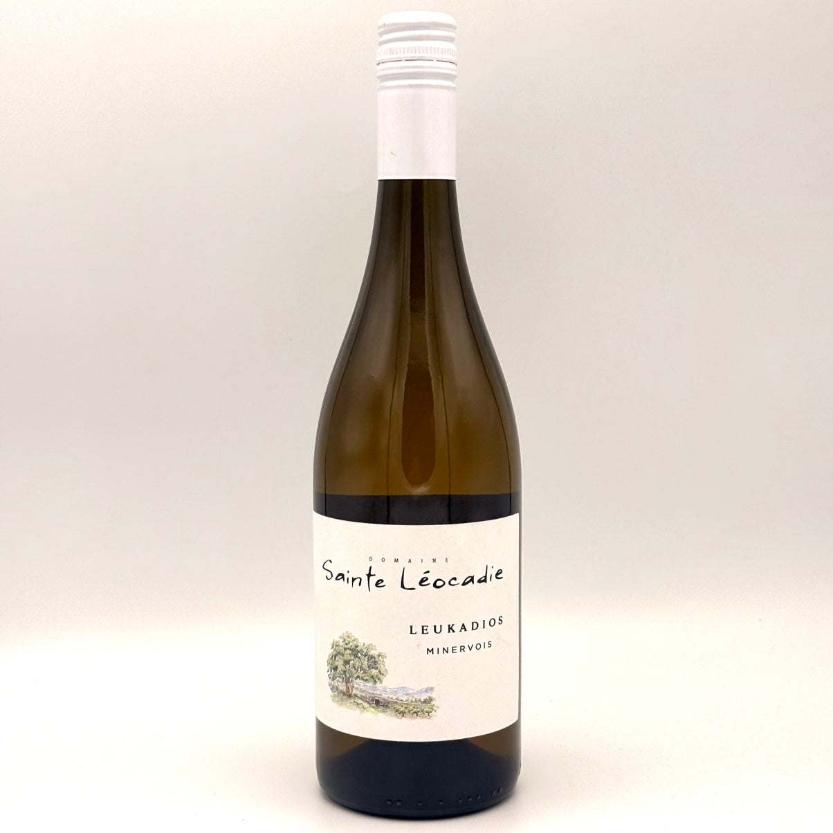 公式 WINE NATION – ワイン通販 WINE NATION